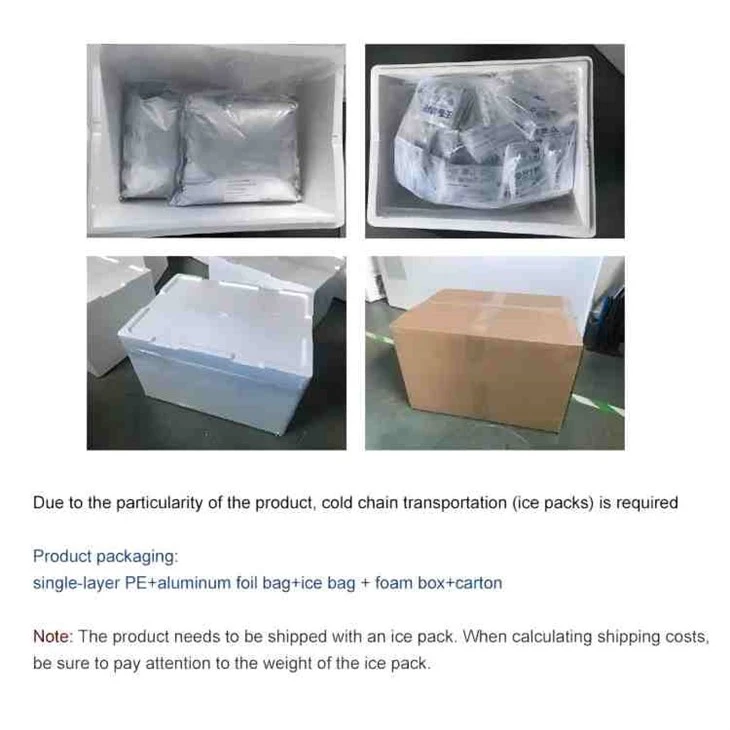 Lactobacillus Casei